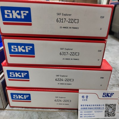 6317-2Z/C3双面铁盖密封SKF进口高品质轴承