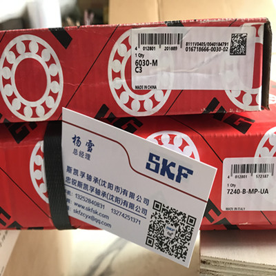 德国进口FAG轴承6030-M-C3
