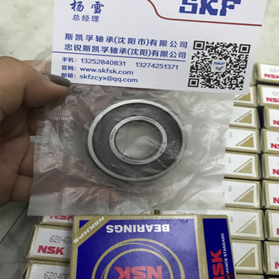 进口NSK轴承胶盖密封6303