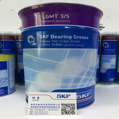 进口SKF润滑脂 LGMT 3/5