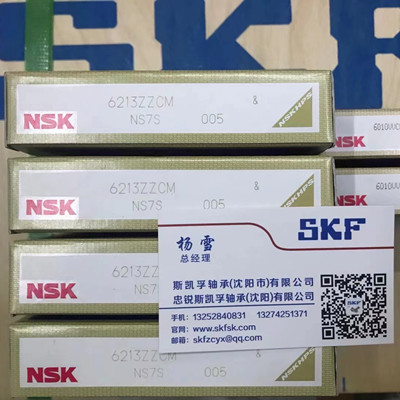 沈阳NSK轴承代理商销售6213ZZ双面铁盖密封