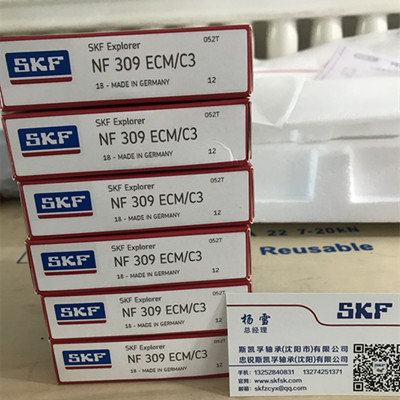 沈阳SKF轴承总代理销售NF309ECM/C3