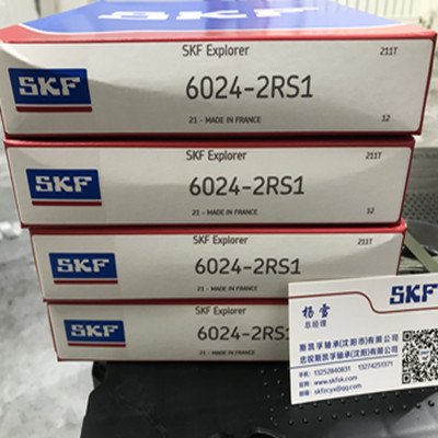 进口SKF轴承6024-2RS1沈阳授权经销商