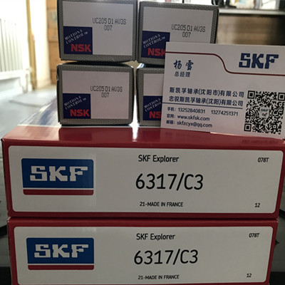 6317/C3进口轴承SKF授权经销商沈阳代理